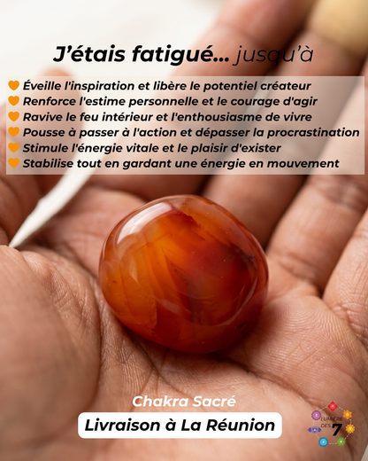 PACK 7 CHAKRAS — Pierres Semi-Précieuses Naturelles | Lumière des 7